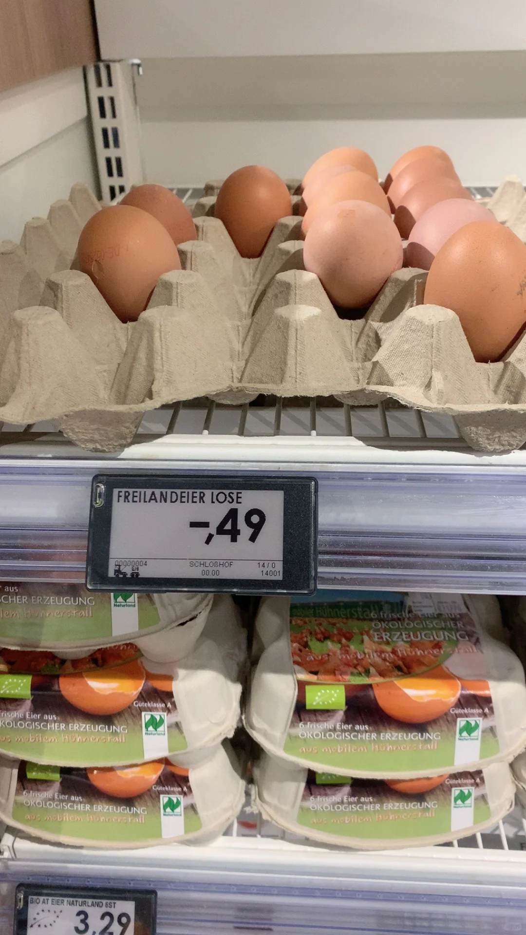 ¹õļ۸