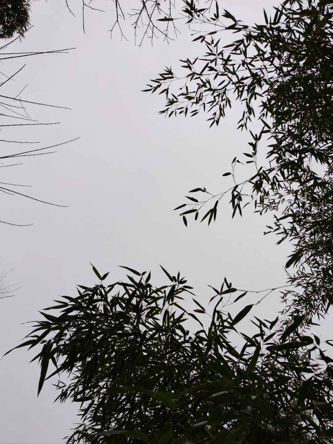 ũsٽζ