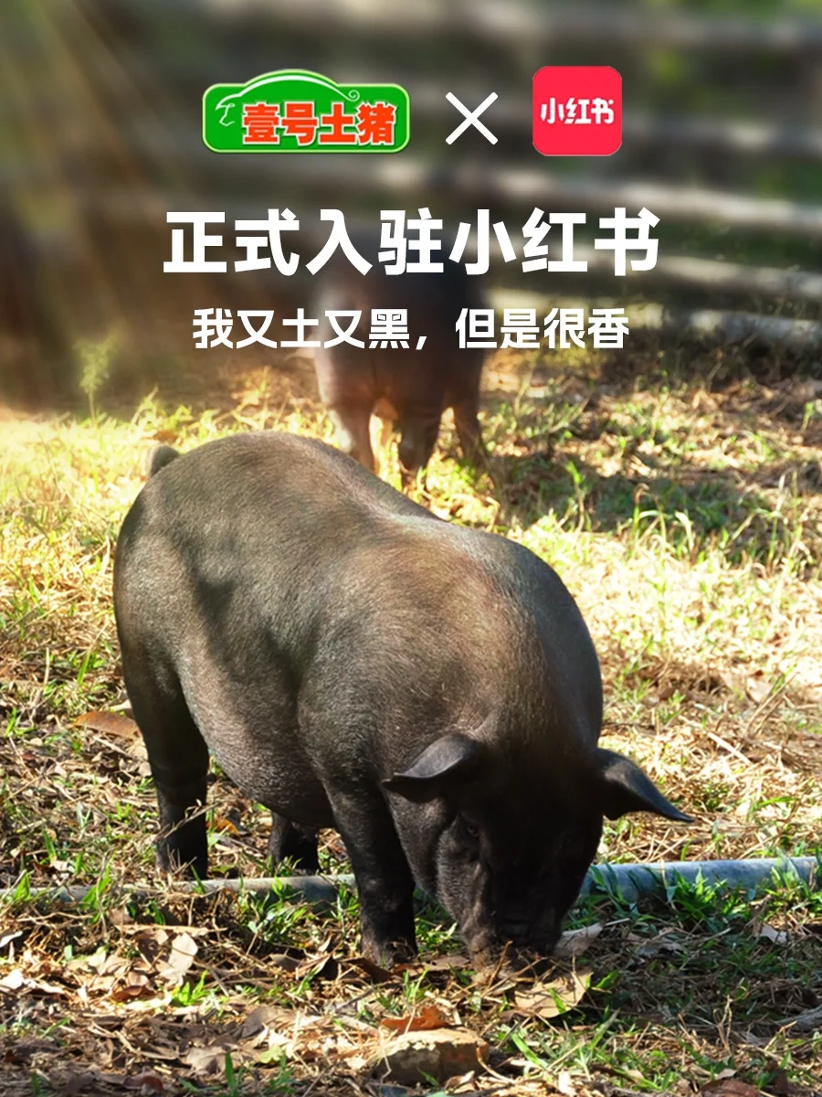官宣????【壹号土猪】入驻小红书了!