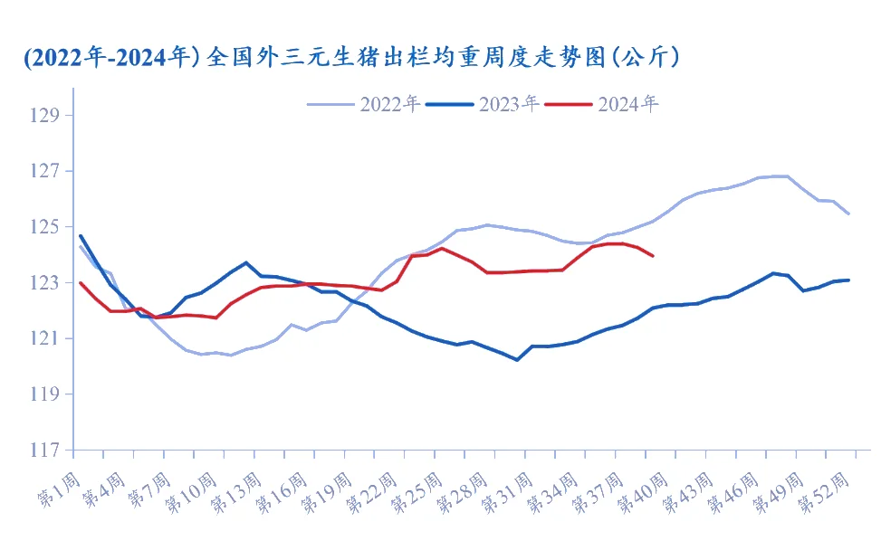 9月全国外三元生猪出栏均重为124.16 公斤