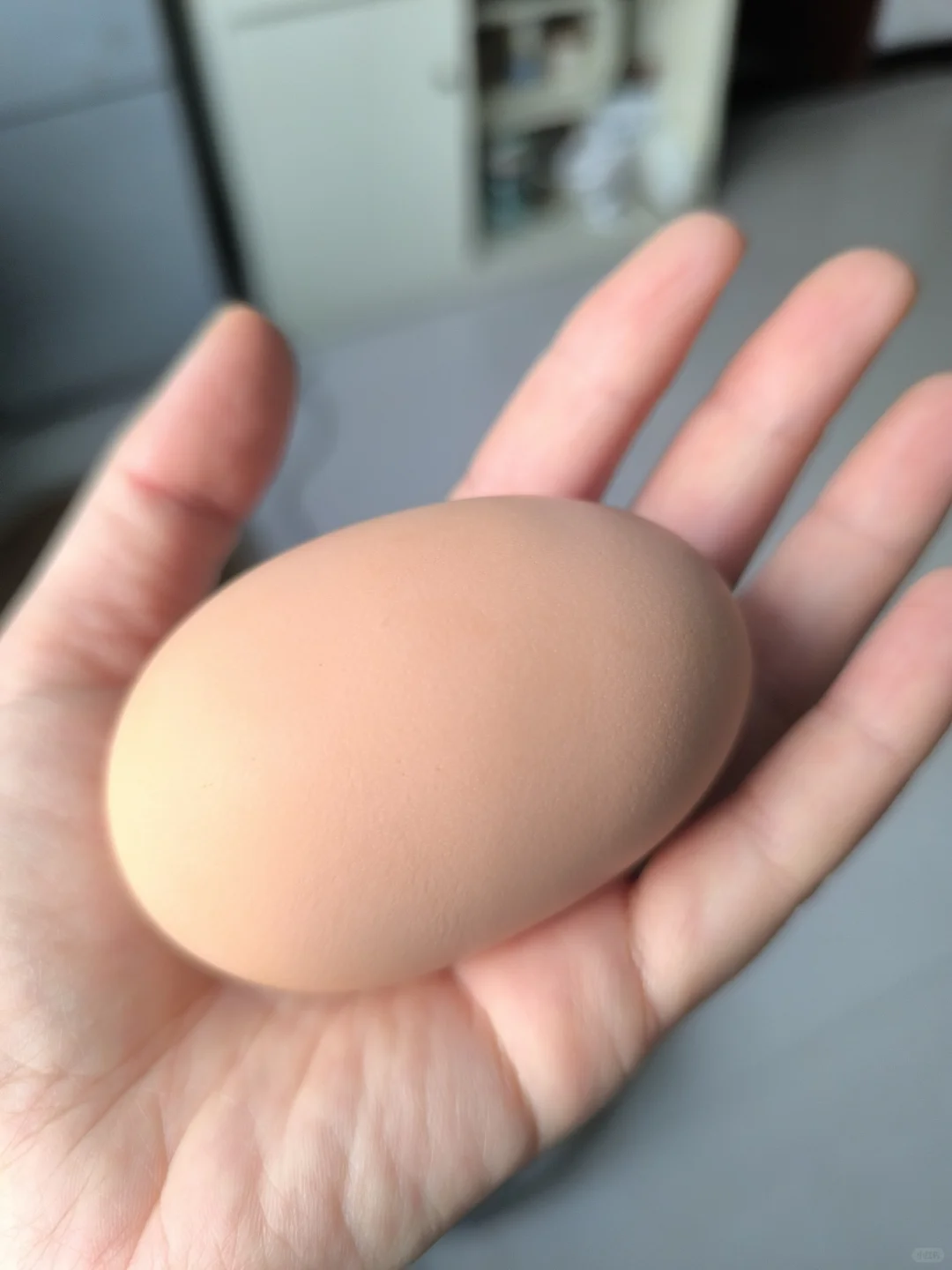 ŵ˵Ҵûмôļ