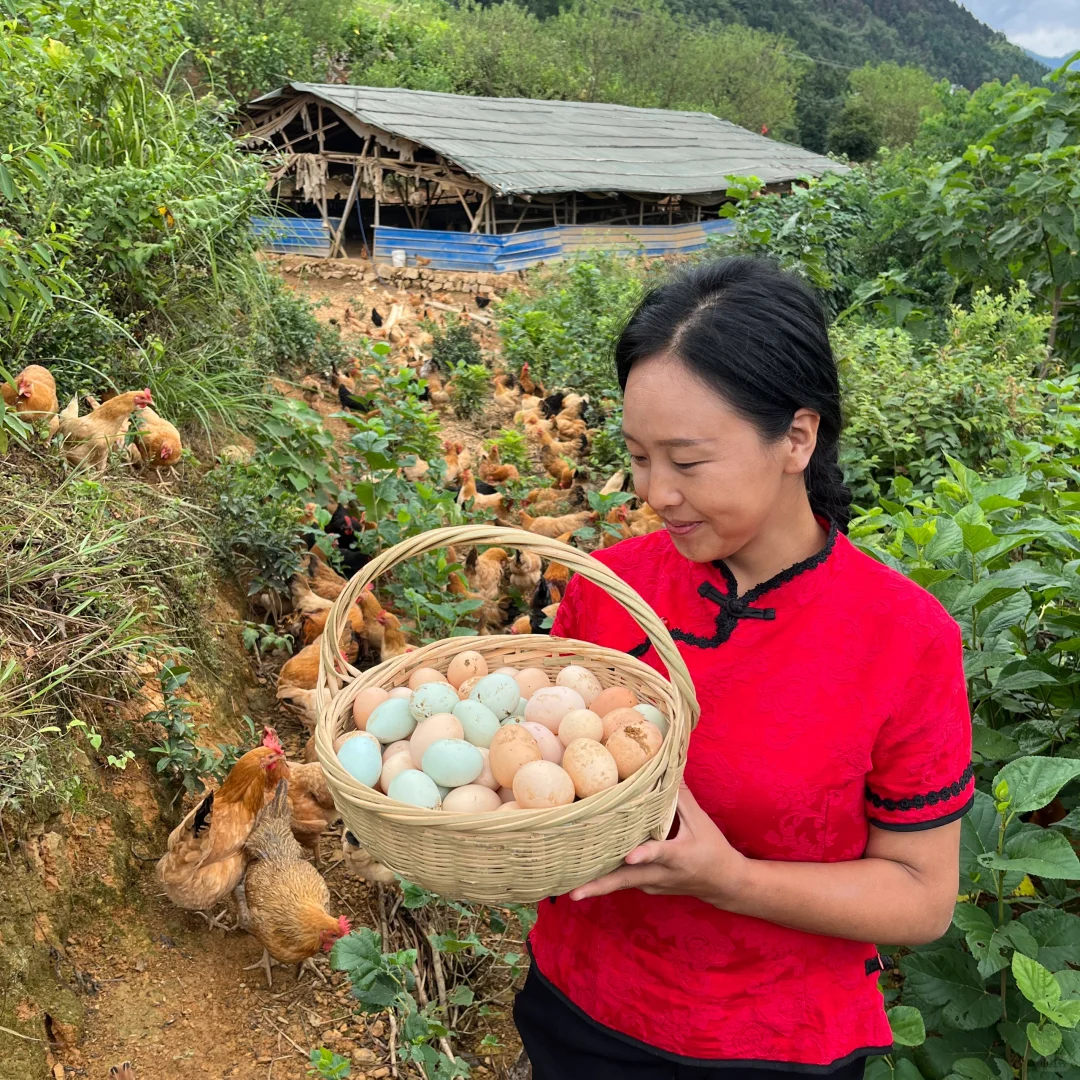 姐妹们,1元一个土鸡蛋敢下单吗