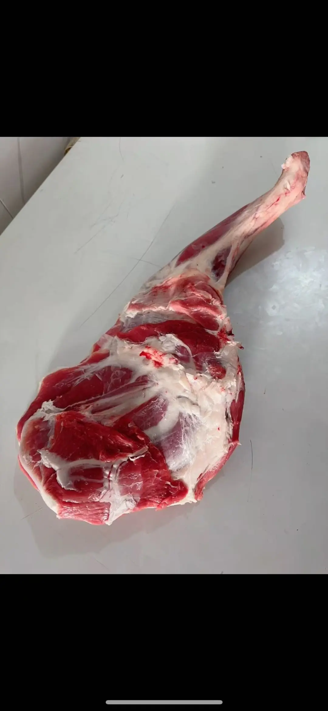 想尝一下内蒙羊肉的宝子进来