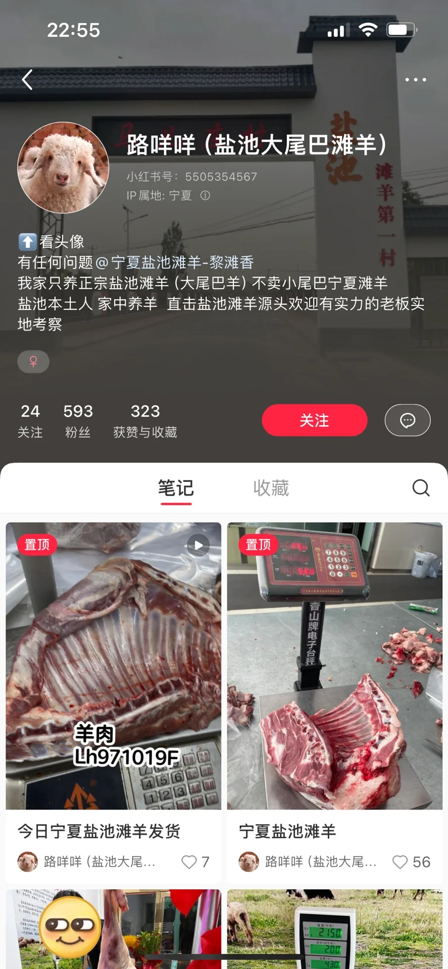 盐池滩羊购买失败小记（避雷贴