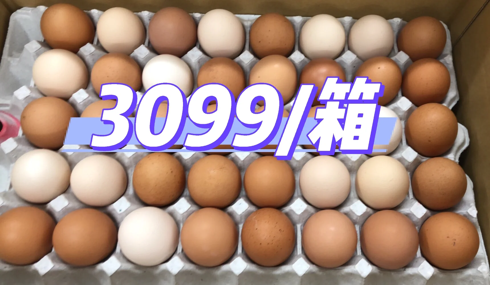 ??伦ˡ۸