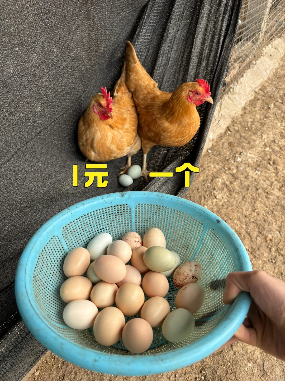 �����ǣ�һԪһ�����������µ���