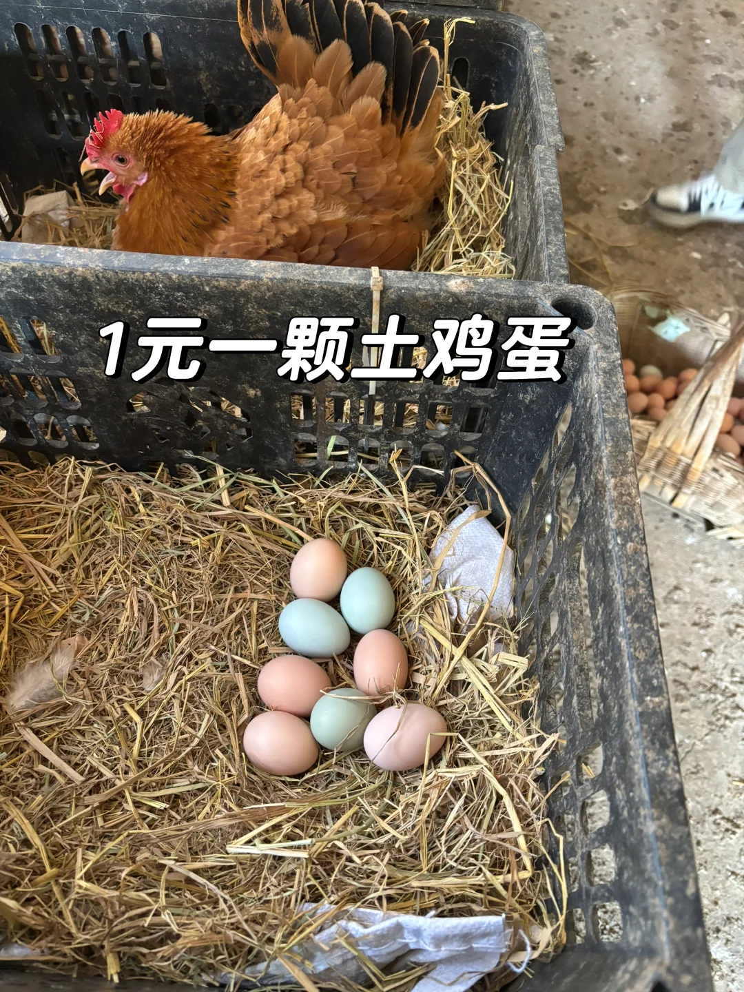 你一句贵，我直接改价1元一个，顺丰包邮