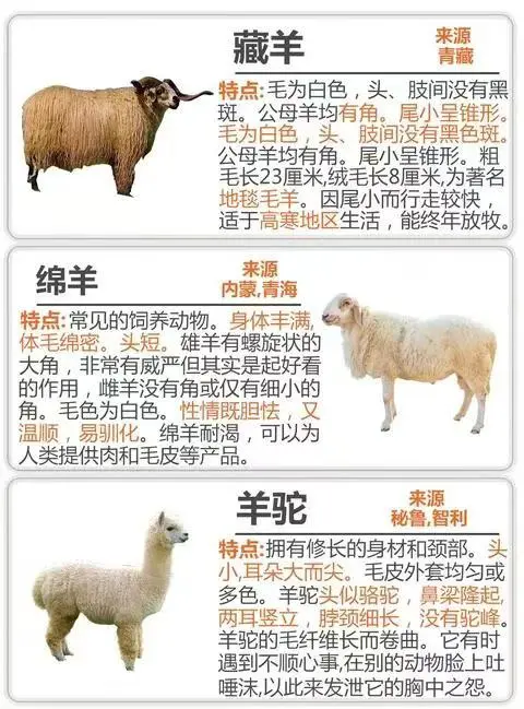 �������������������img.bim99.cn���