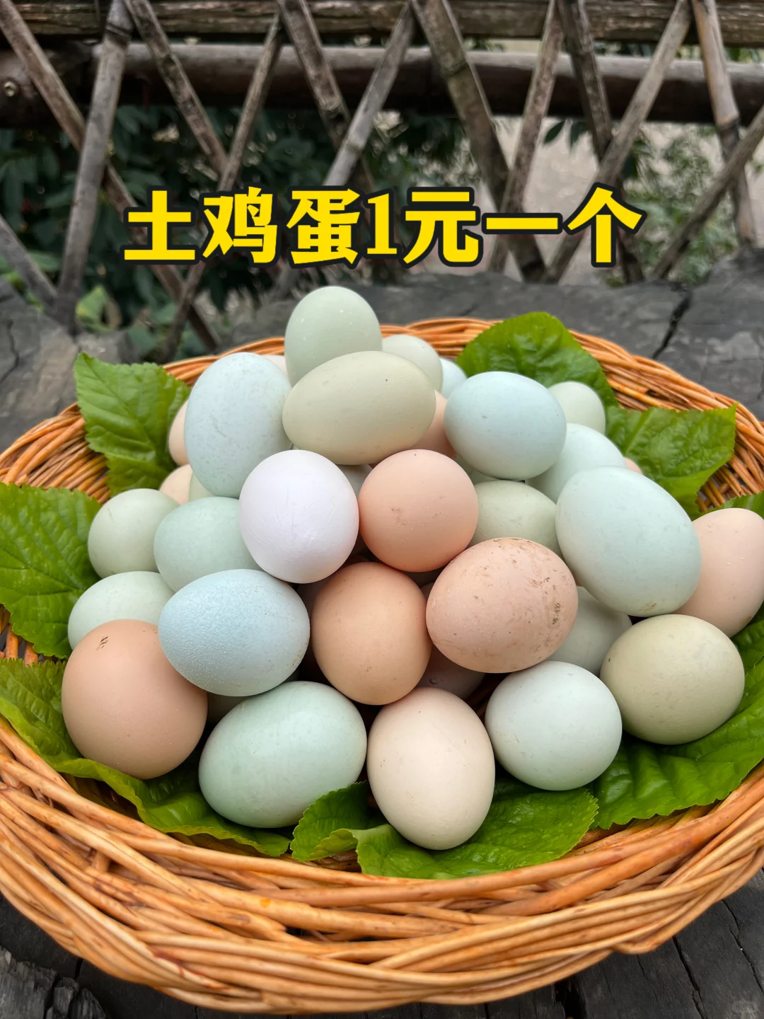 ǣ1Ԫһö