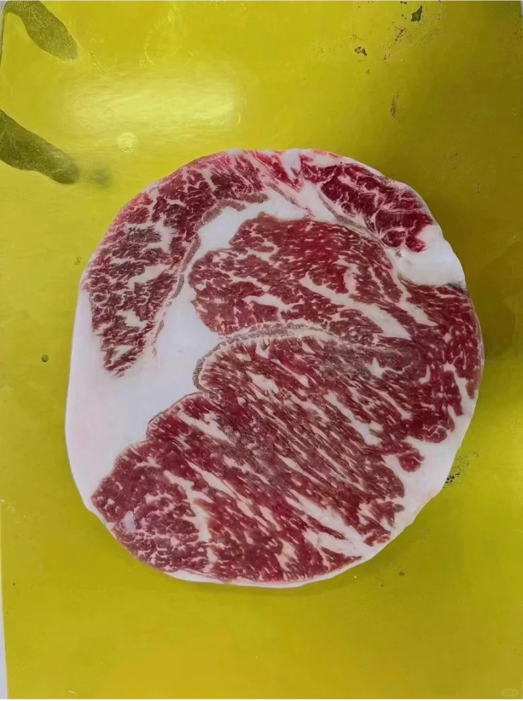 ţģ˵滰  磡