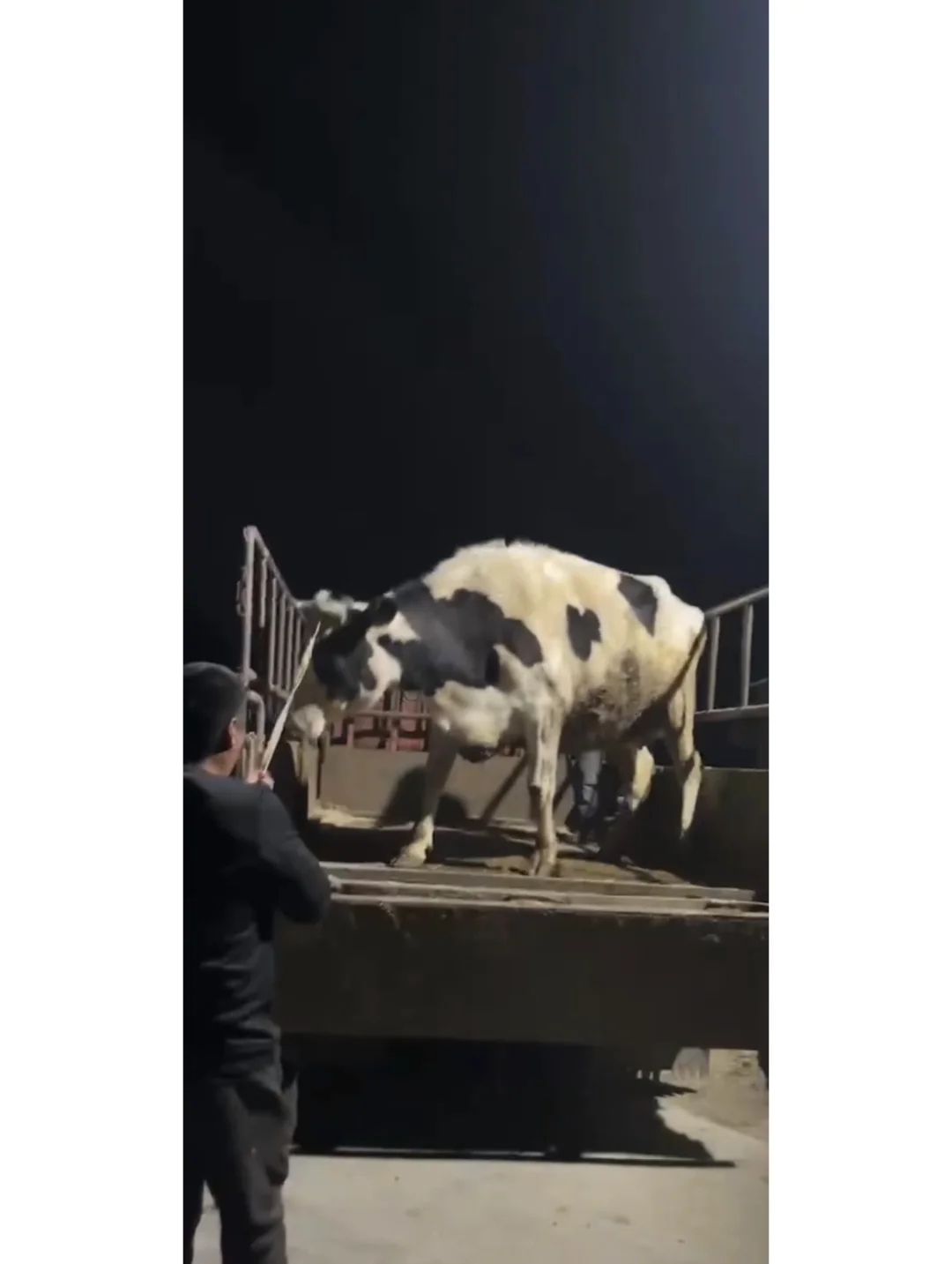 ţģ˵滰  磡