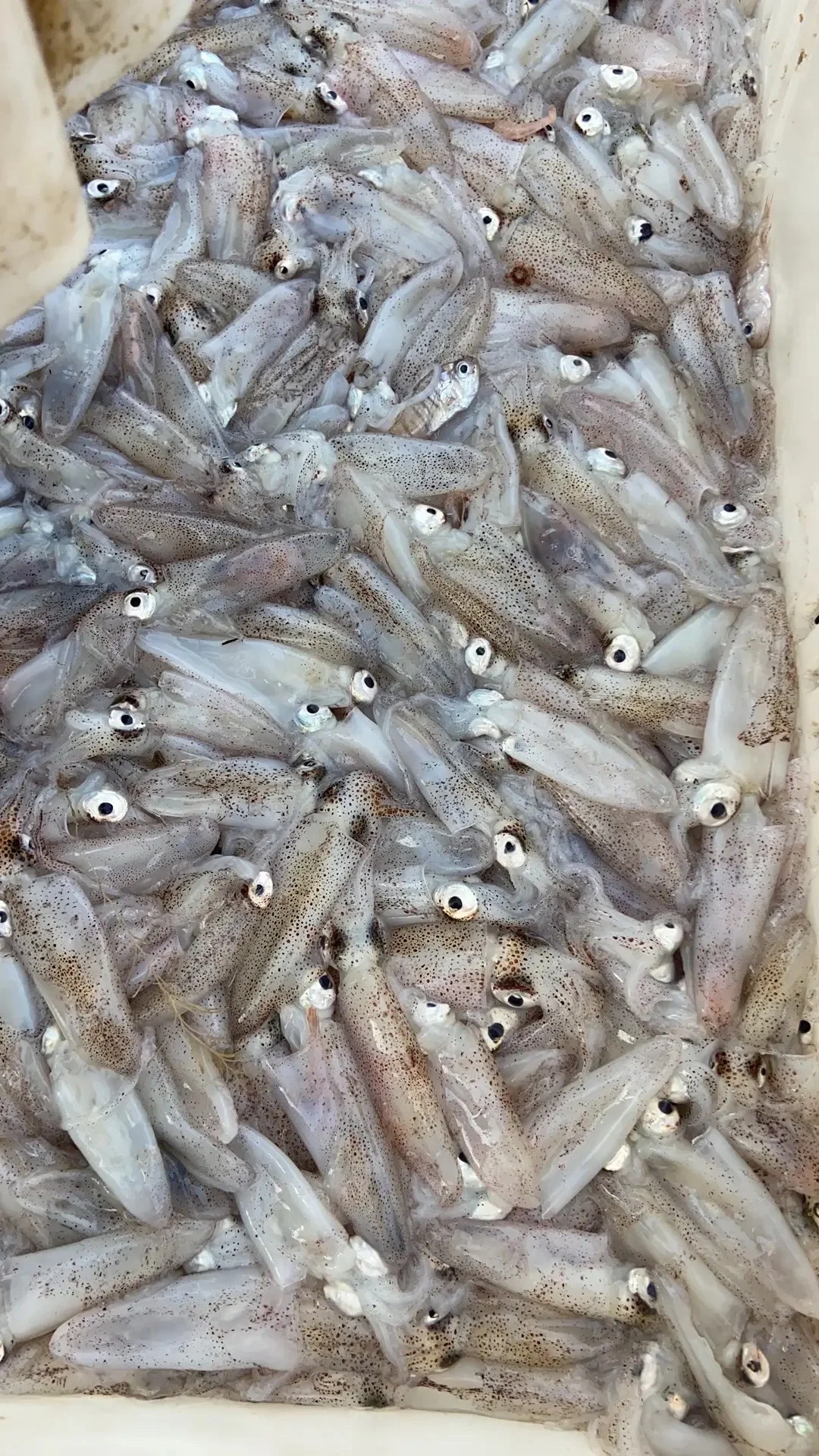 ҽһൺغΪʲô