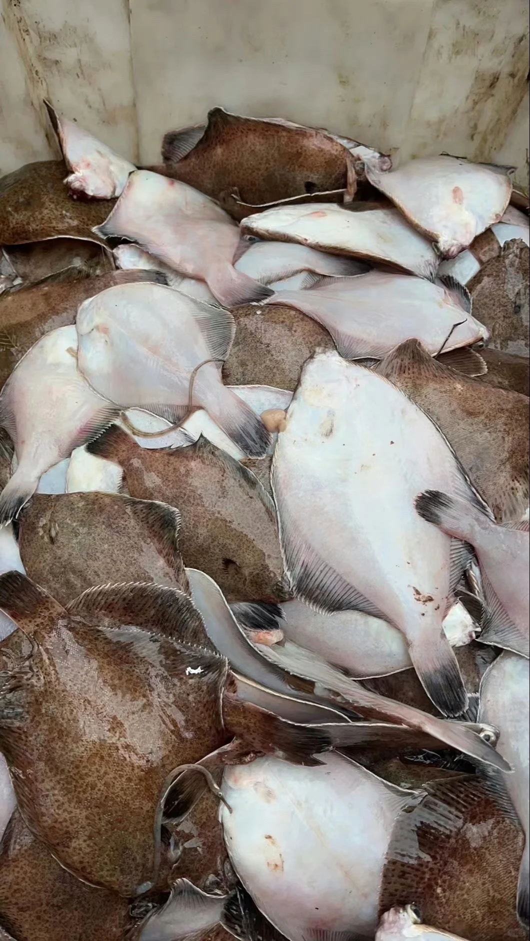 ҽһൺغΪʲô