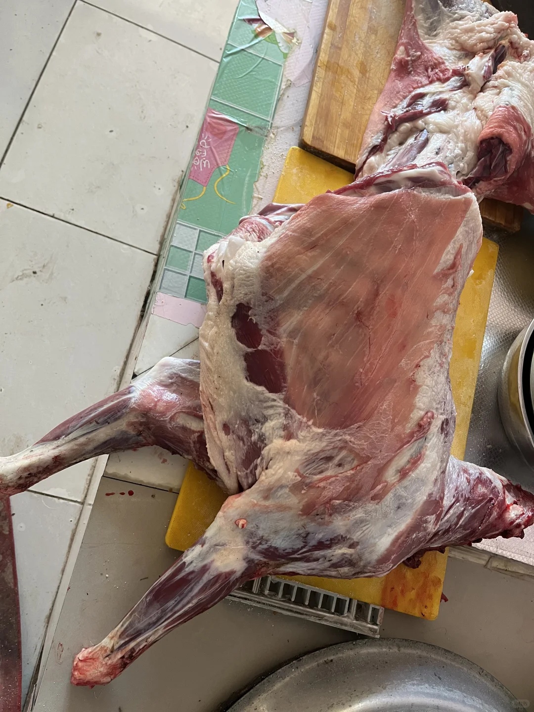 这么可爱的羊，也逃不过它们的宿命