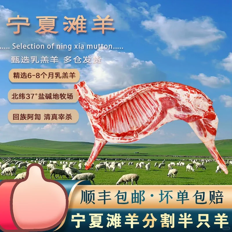 ̯û㣡