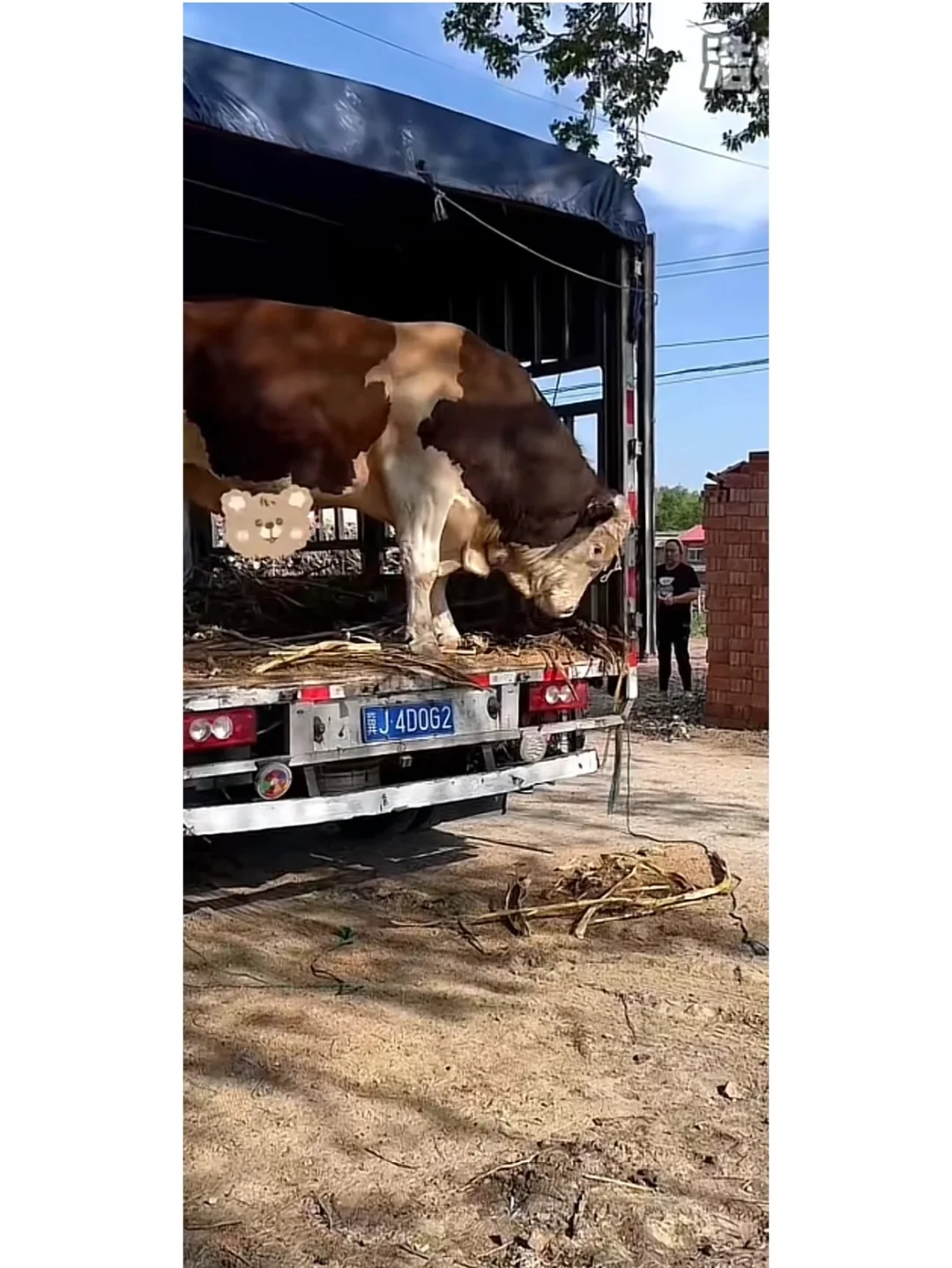 ţģ˵滰  磡