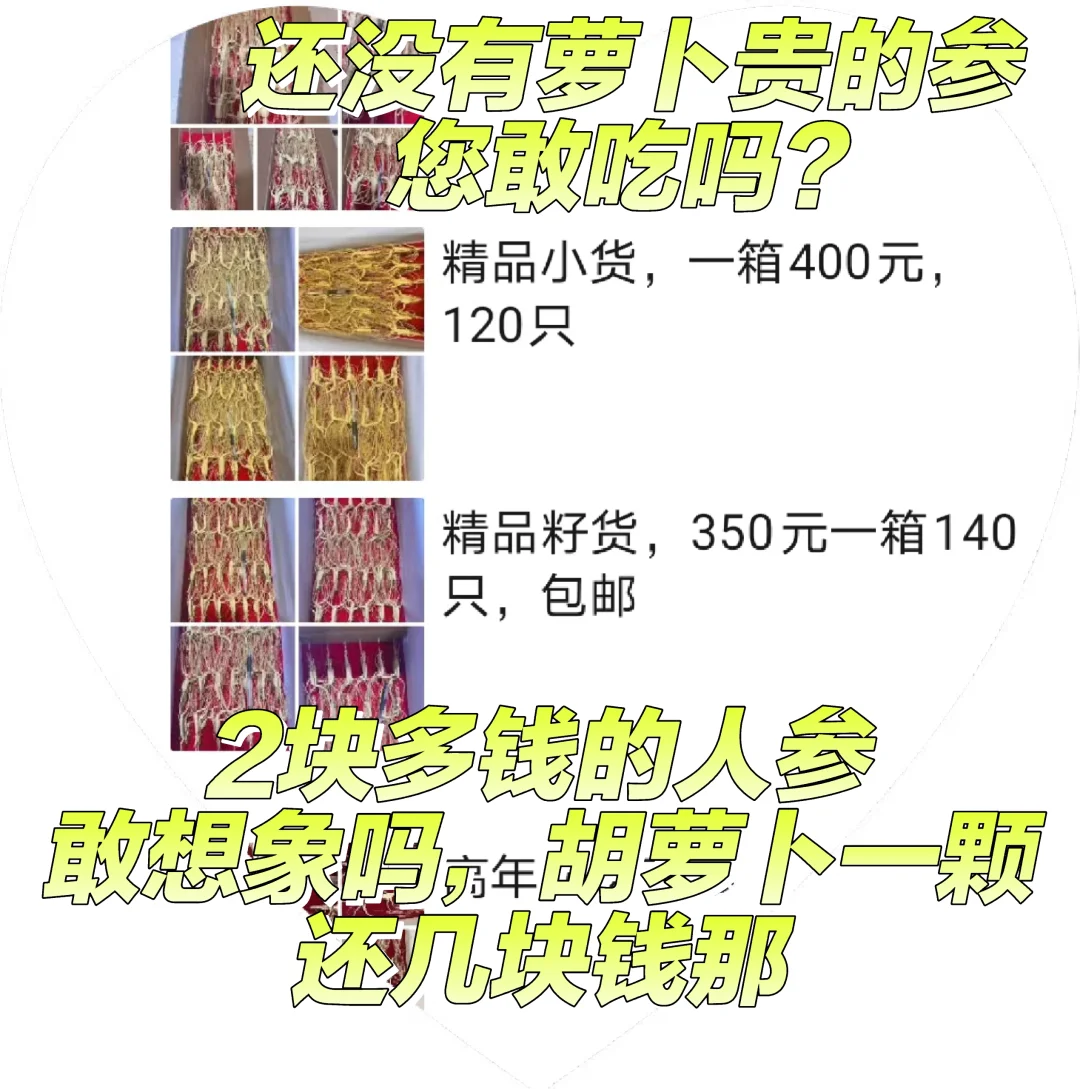比萝卜还便宜的人参?