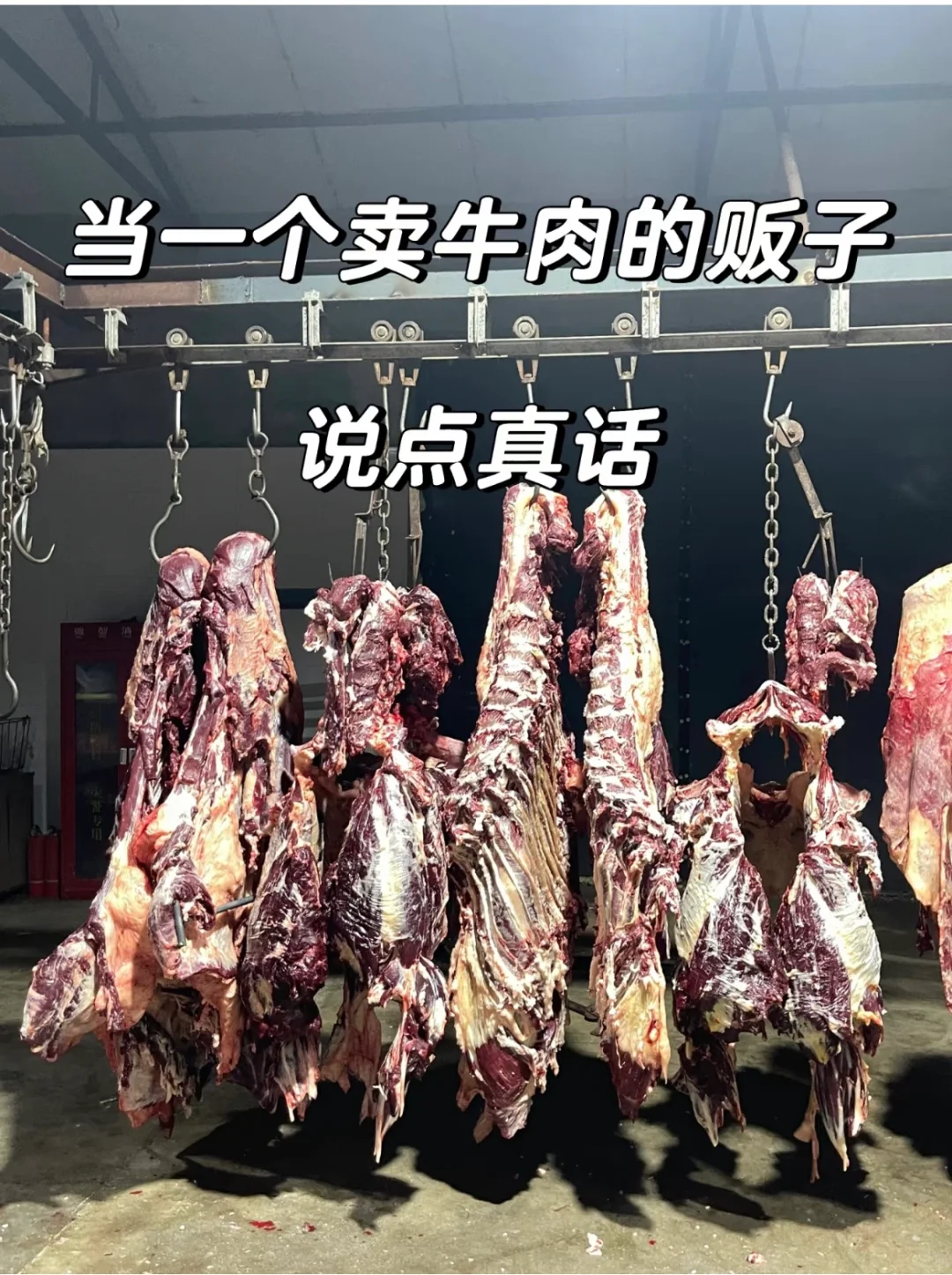 ţģ˵滰  磡
