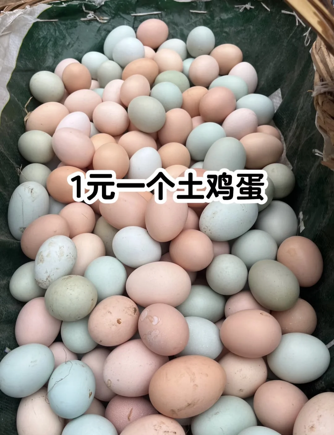 好吃不要钱的一块钱一个土鸡蛋