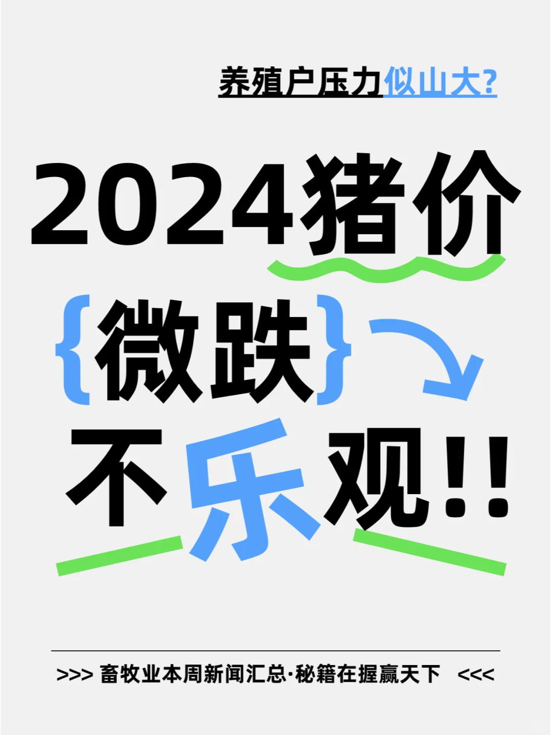2024 ΢25 ಻ֹۣ