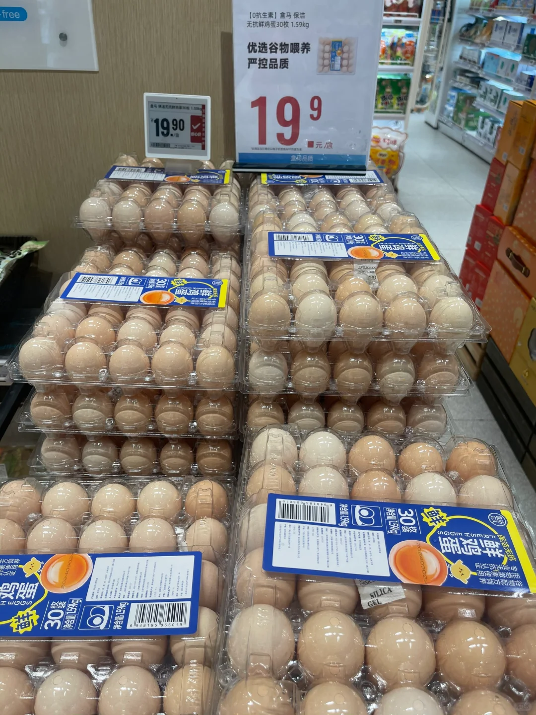 ޿ʼ