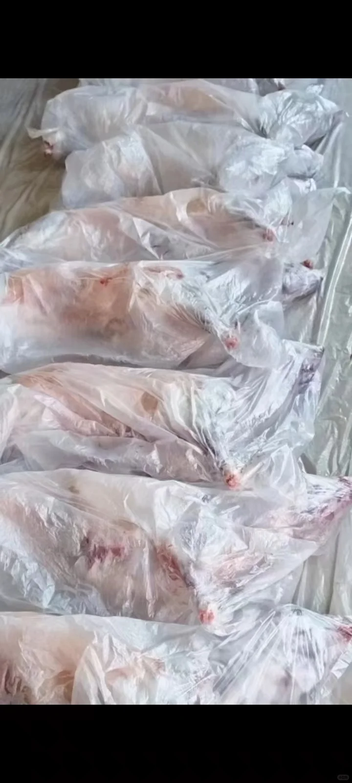 求求大家，帮忙宣传一下吧。