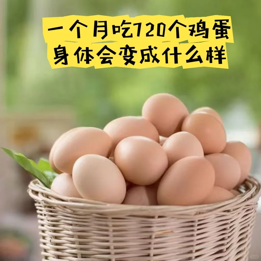 ?挑战一天24个鸡蛋,一个月720个