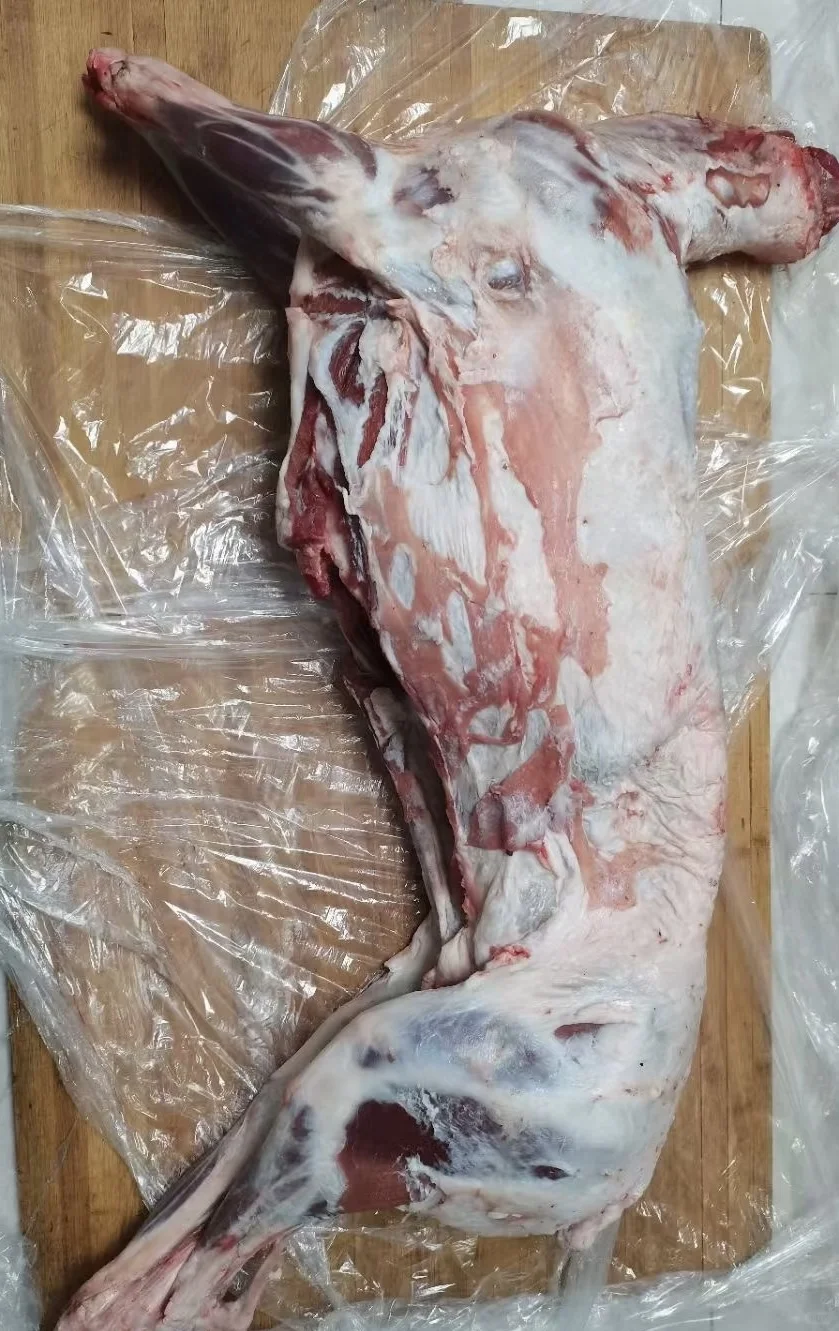 求求大家，帮忙宣传一下吧。
