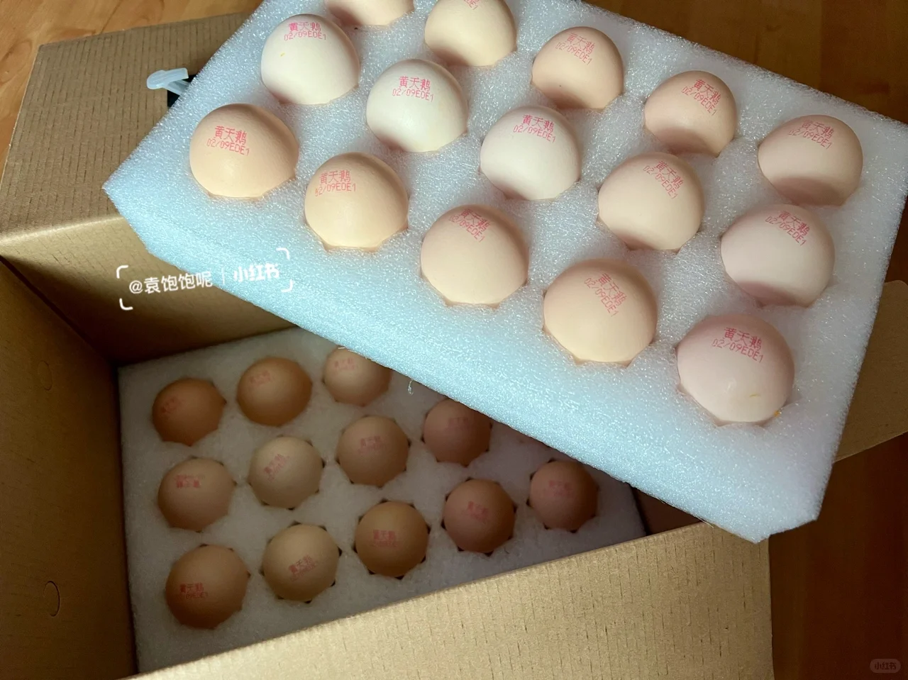 ˻죬ĸӼð