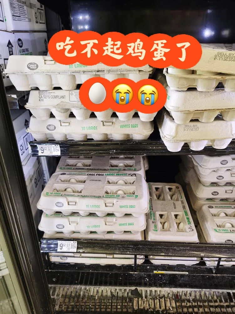 Բ𼦵???