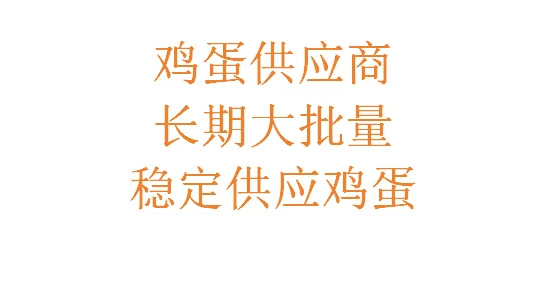 鸡蛋供应商,长期大批量稳定供应鸡蛋
