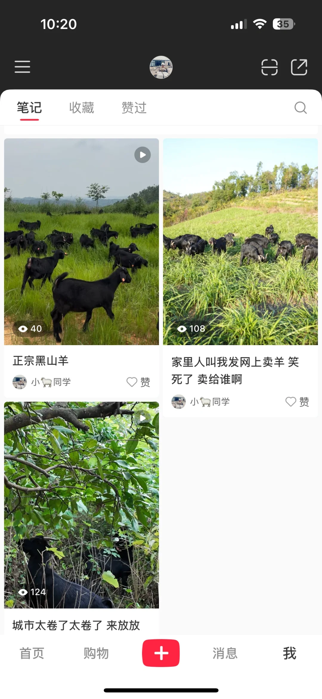 挑战帮家里卖.羊肉但是没卖出去的第四天