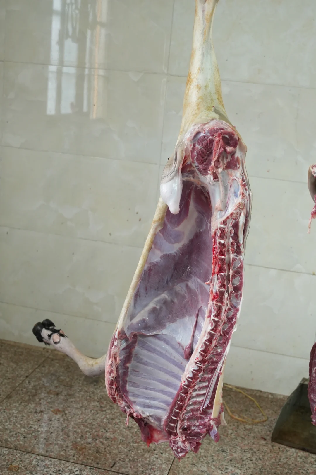 挑战帮家里卖.羊肉但是没卖出去的第四天
