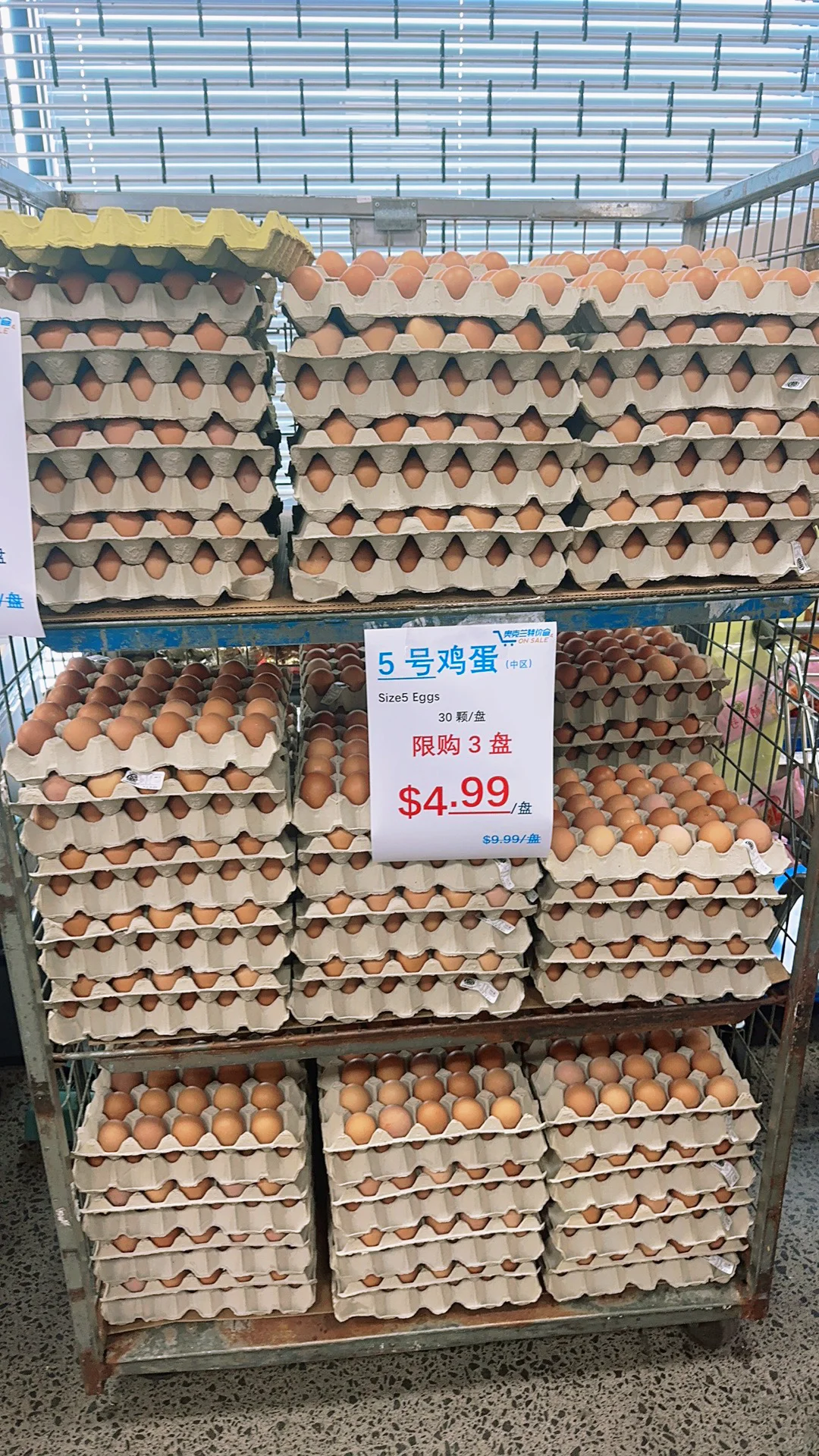ɱˣ