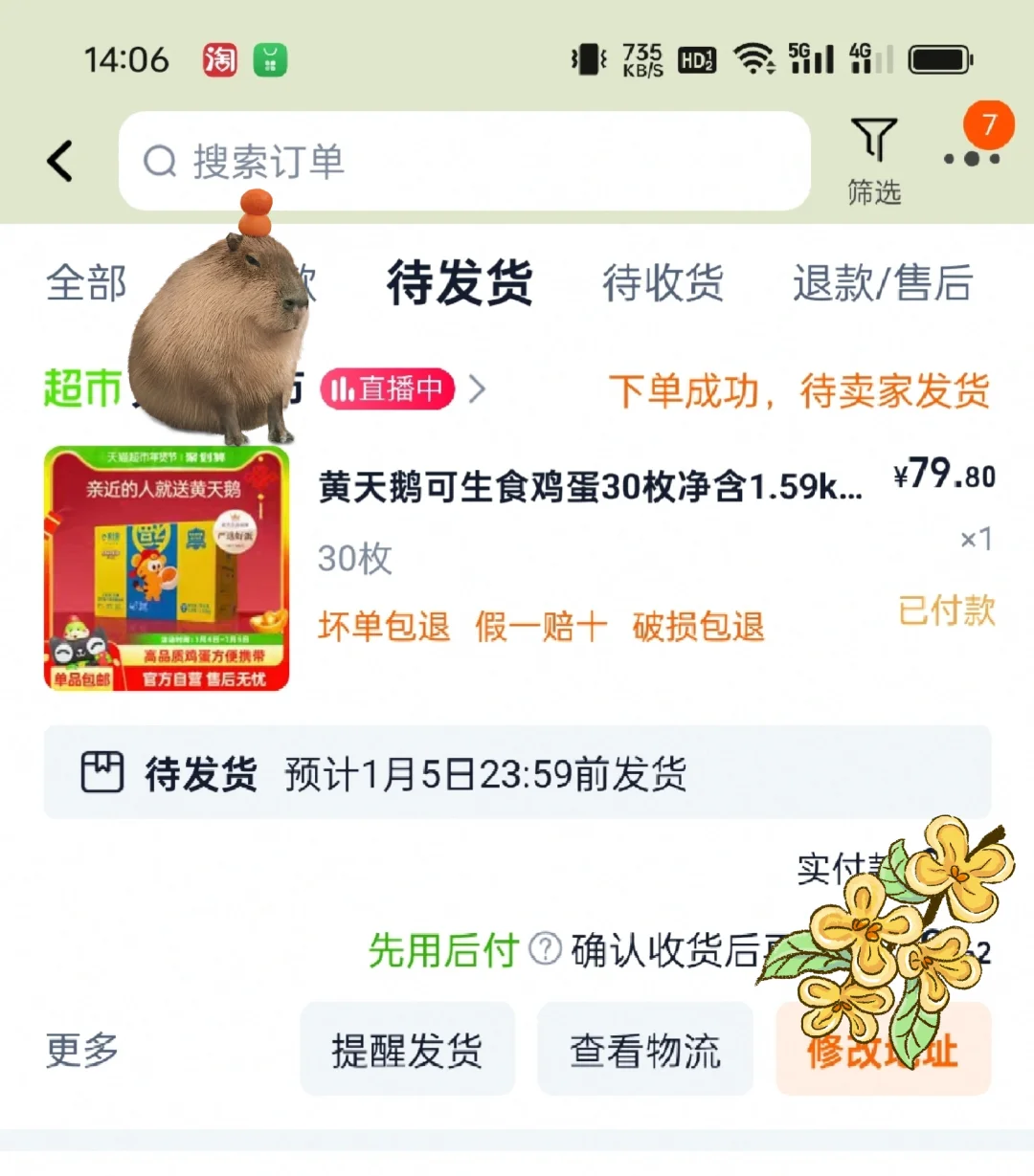 bug价的黄天鹅鸡蛋