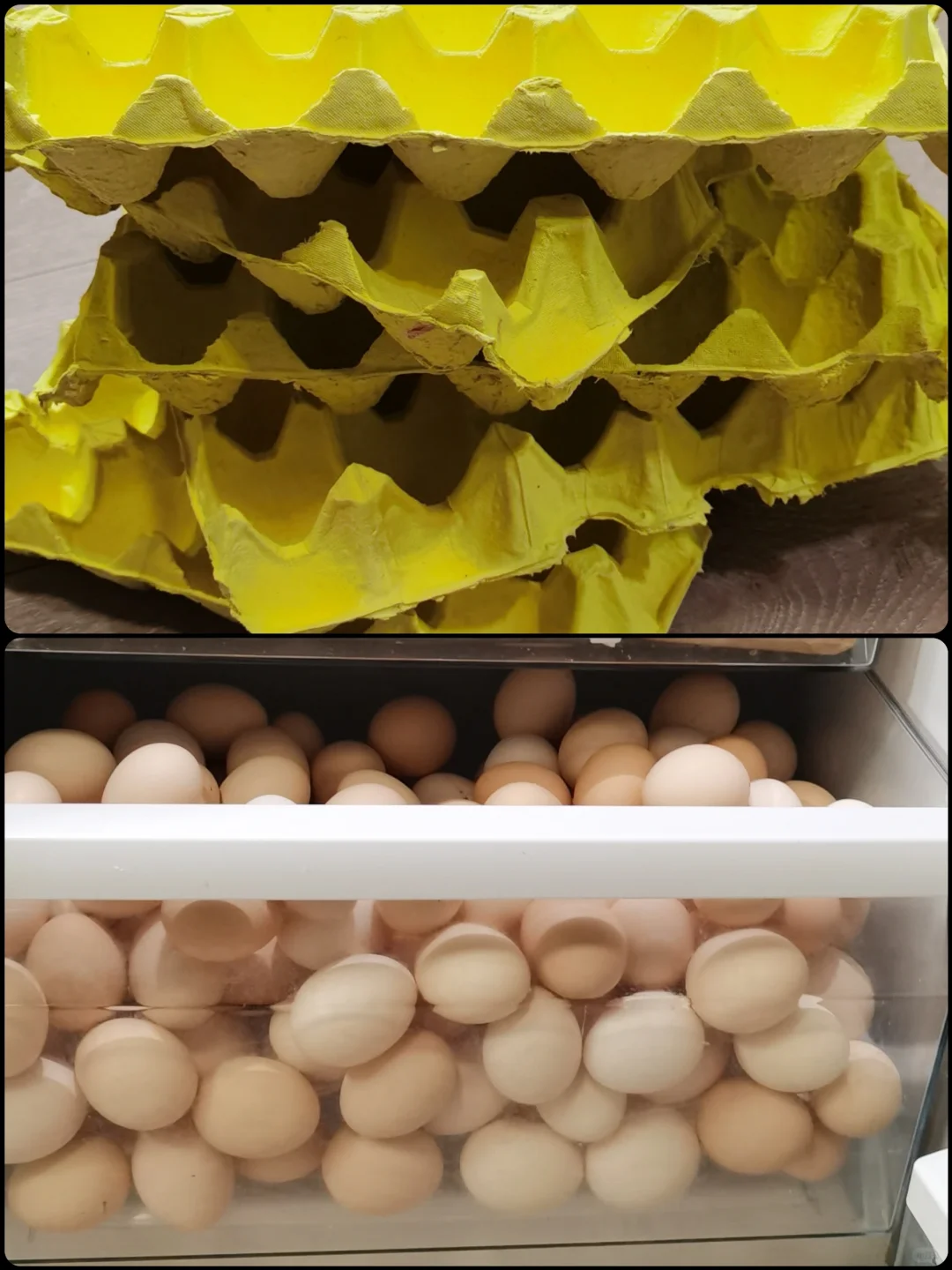 一个月的鸡蛋量