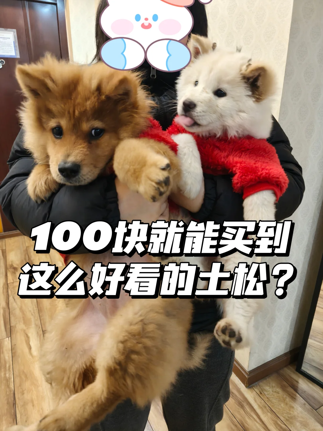 һֻƷҪǮ
