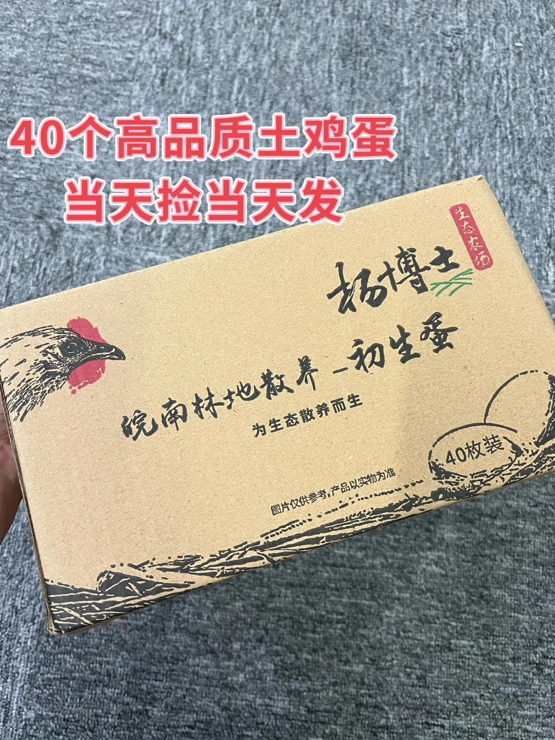 ??2??40ö˳͵