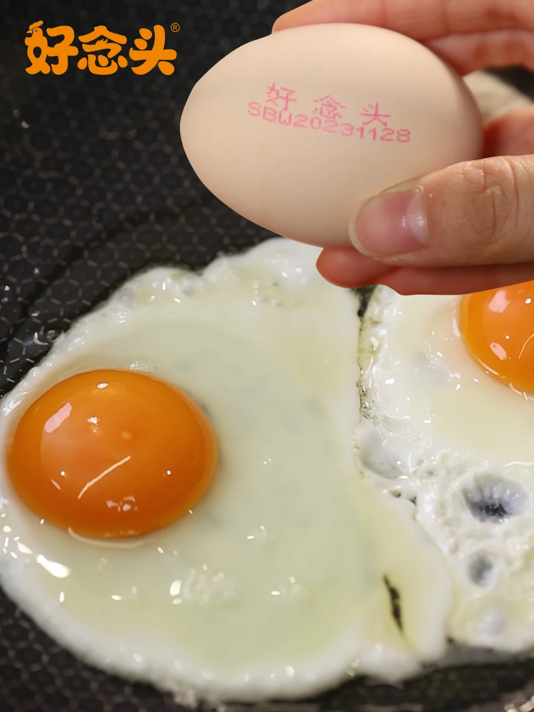 ţڵ59.9һĿʳ