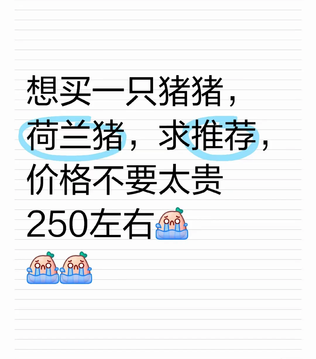 һֻ