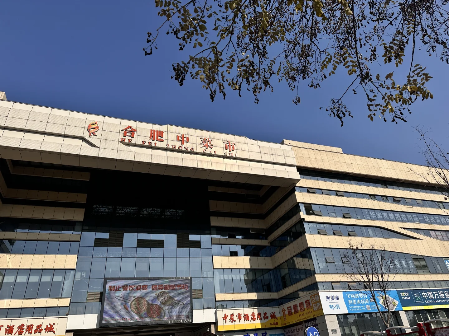 中菜市买东西记录20241228
