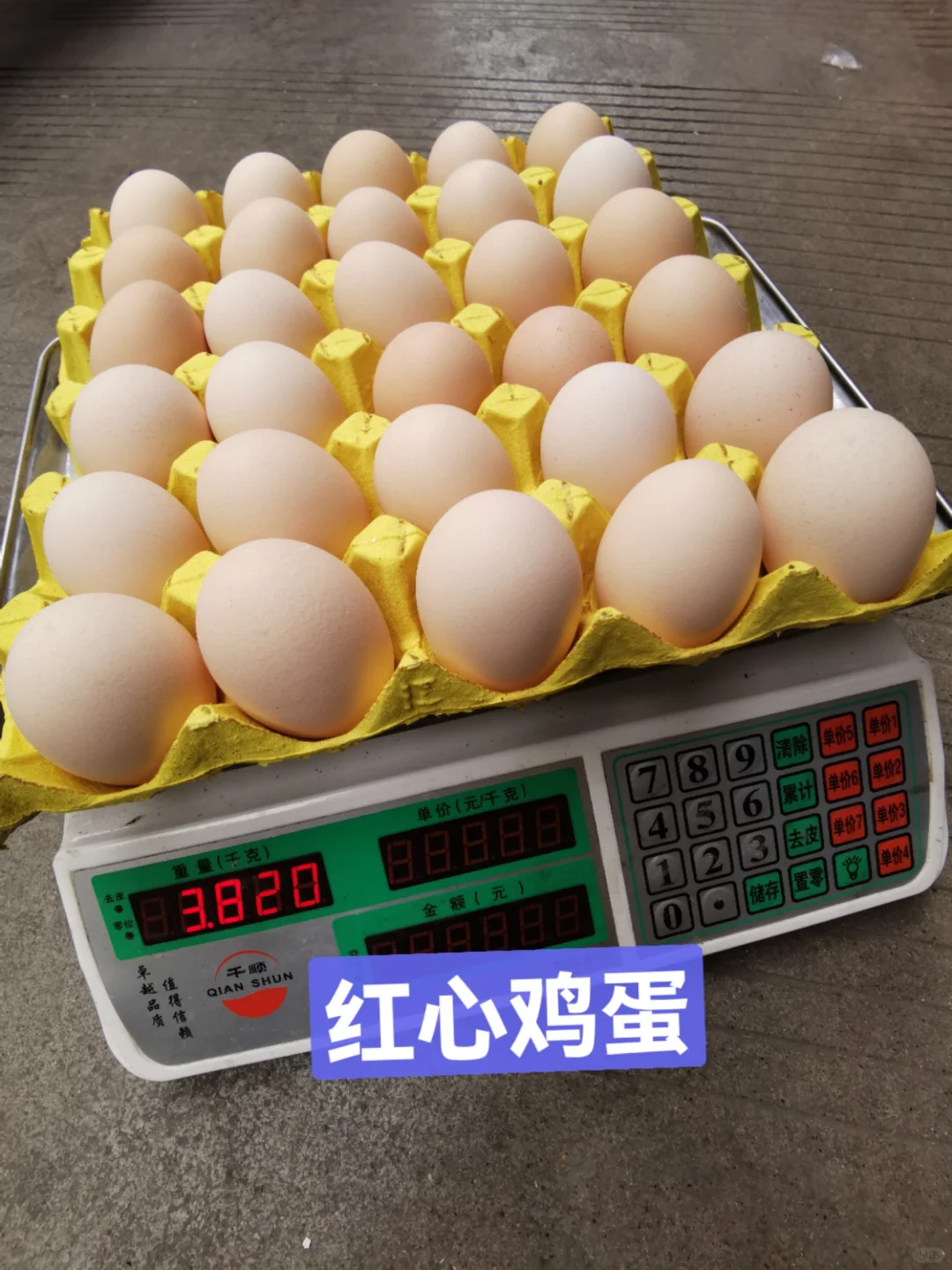 ?����ĵ�������