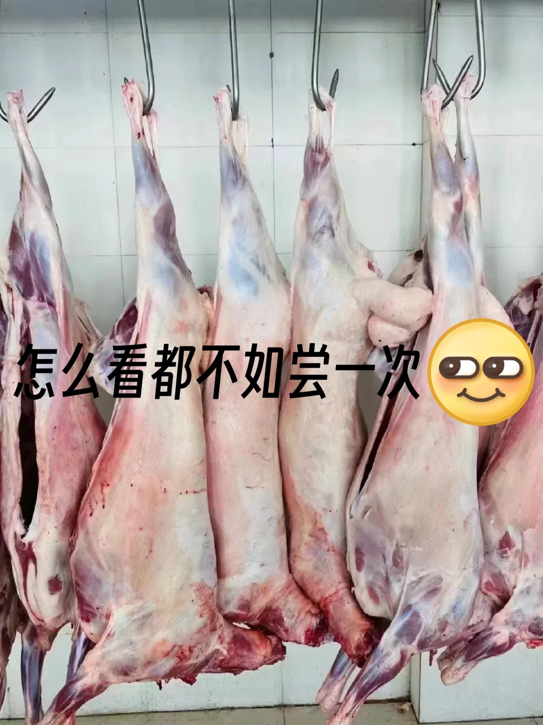 选我家内蒙羊肉,你真没必要再去对比了