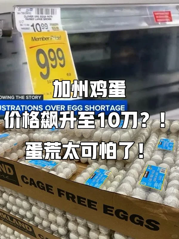 ݼ۸10̫ˣ