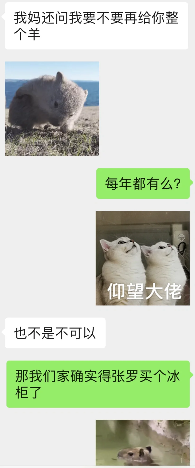 ˣԪһֻ