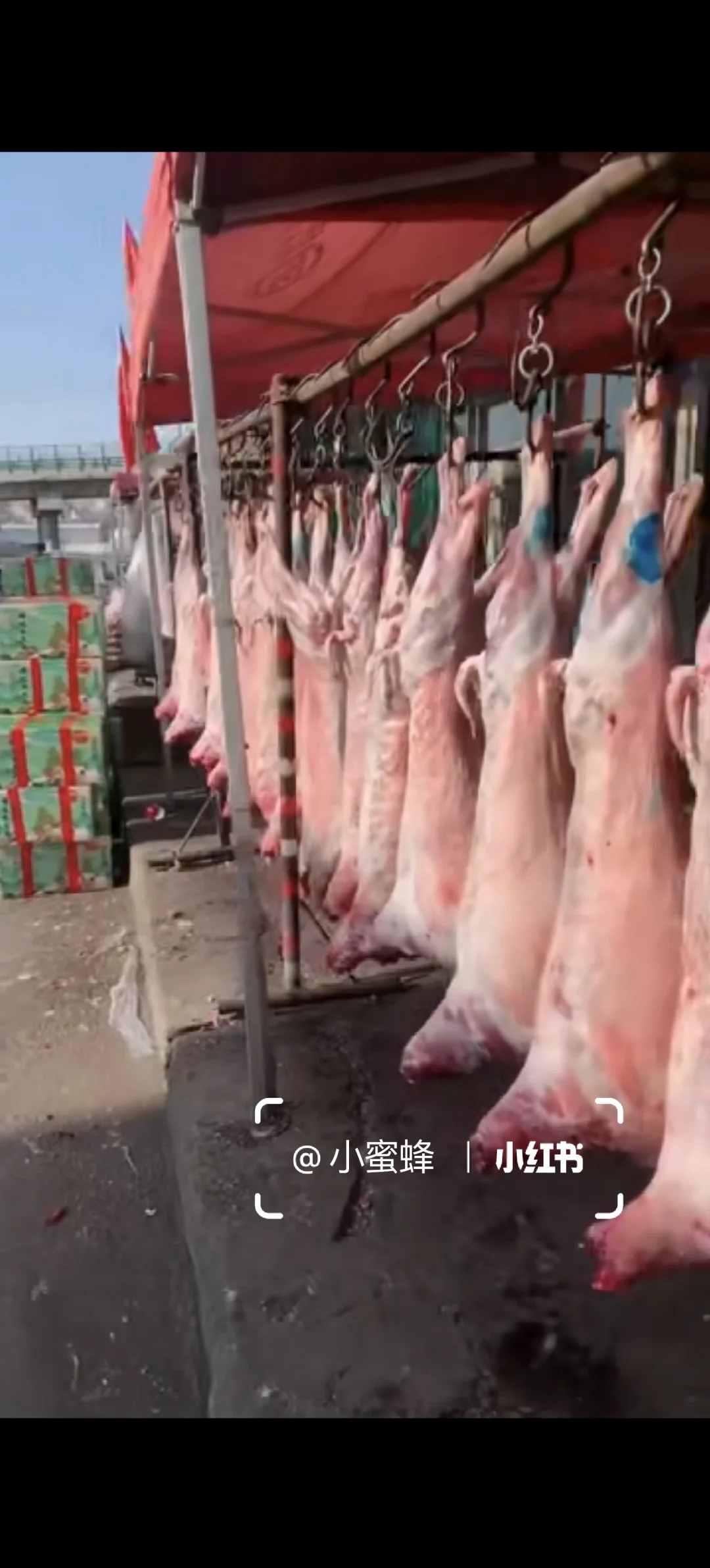家里人让我学习卖羊肉?