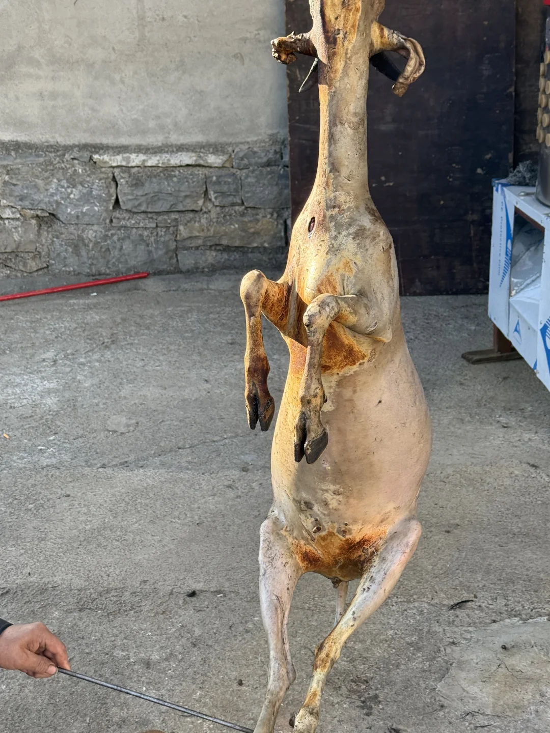 Ϊʲôû˶ݺɽ