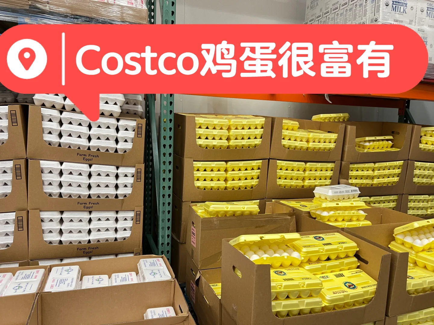 Ų?CostcoԴӶ