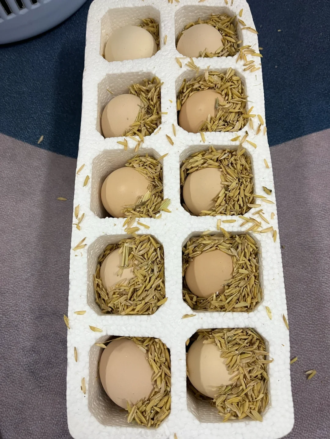 第一次在网上买鸡蛋，真内卷