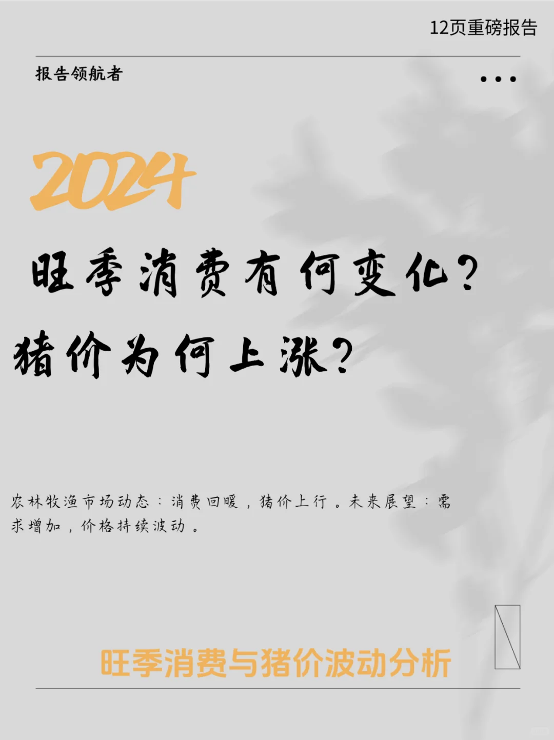 2024ũҵ۷